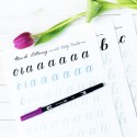 Large Brush Workbook -Quaderno per Lettering