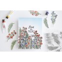 Focus on You Die Set - Fustelle di Altenew