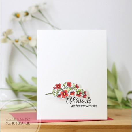 Focus on You Die Set - Fustelle di Altenew