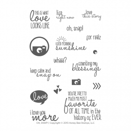 Oh, Snap! - Timbro di Honey Bee Stamps