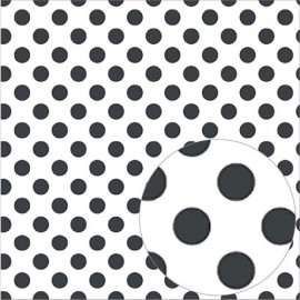 Foglio di Acetato Raven Dot 12 x 12 - Bazzill Basics