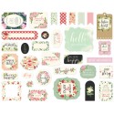Carta per scrapbooking di Echo Park Paper - Botanical Garden