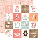 Carta per scrapbooking di Echo Park Paper - Baby Girl