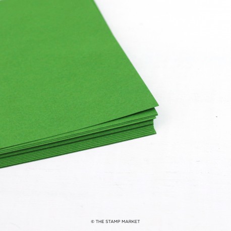 Cardstock -  Cactus Green