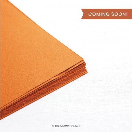 Cardstock -  Peach