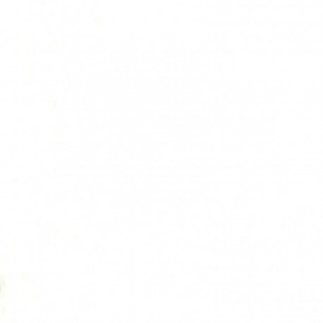 Bazzill orange peel 12x12" white