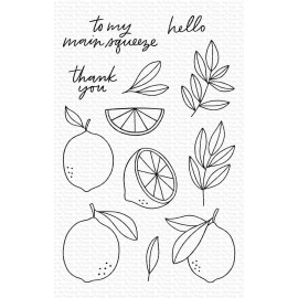 Main Squeeze - Timbro di My Favorite Things