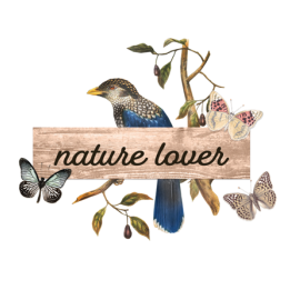 Blocco di carte per Scrapbooking - Nature Lover  4x6"  Journaling Cards 2