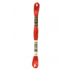 Mouliné Spécial DMC Colore 350