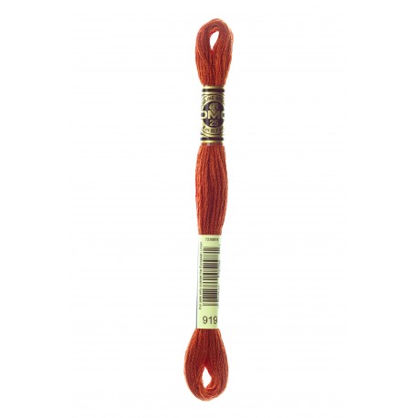 Mouliné Spécial DMC Colore 919