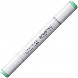 Marker Copic sketch - BG34 2