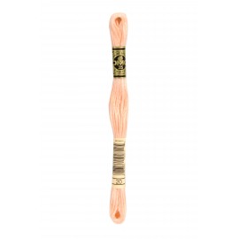 Mouliné Spécial DMC Colore 20