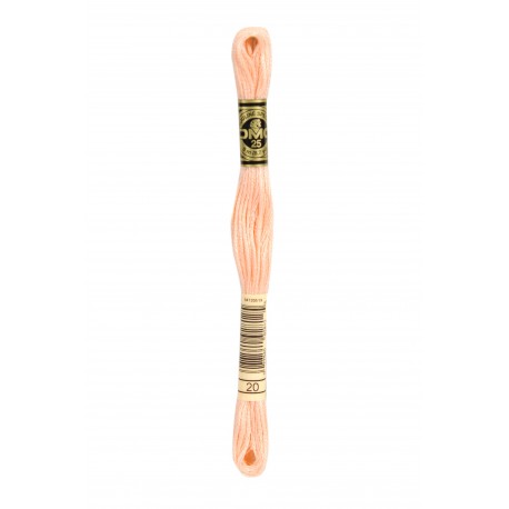 Mouliné Spécial DMC Colore 20