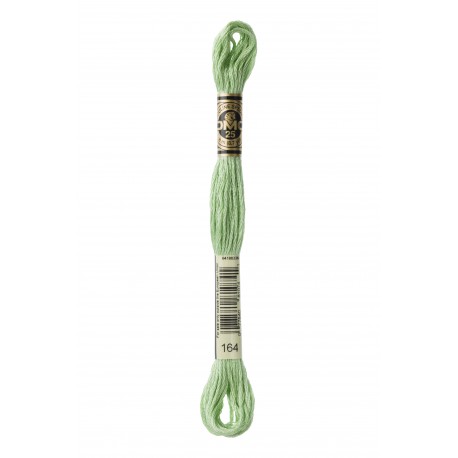 Mouliné Spécial DMC Colore 164