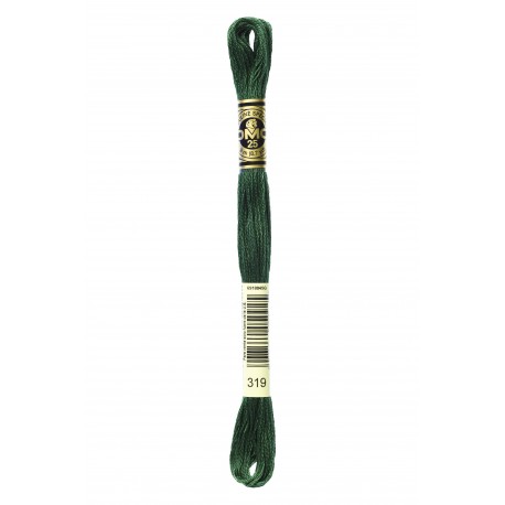 Mouliné Spécial DMC Colore 319