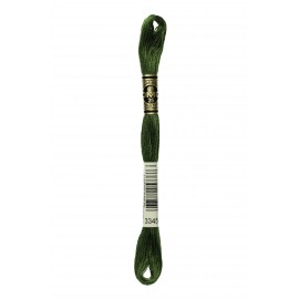 Mouliné Spécial DMC Colore 3345