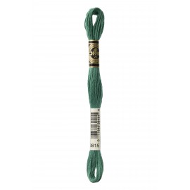 Mouliné Spécial DMC Colore 3815