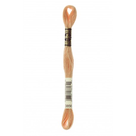 Mouliné Spécial DMC Colore 3856