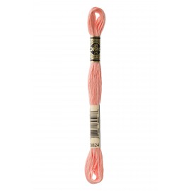 Mouliné Spécial DMC Colore 3824