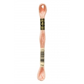 Mouliné Spécial DMC Colore 754