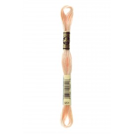 Mouliné Spécial DMC Colore 951