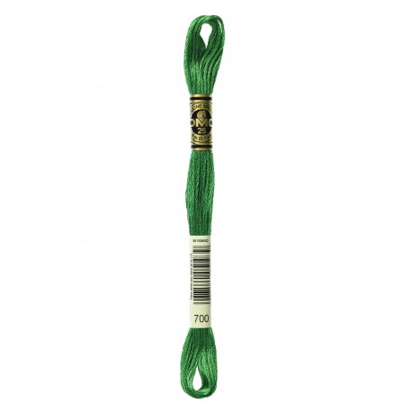 Mouliné Spécial DMC Colore 700