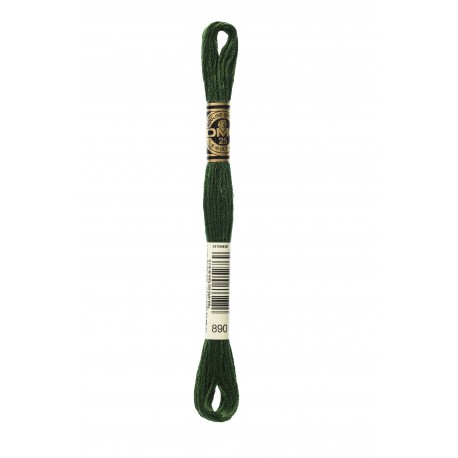 Mouliné Spécial DMC Colore 890