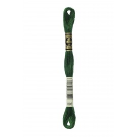 Mouliné Spécial DMC Colore 895