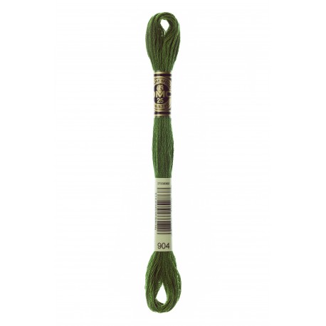 Mouliné Spécial DMC Colore 904