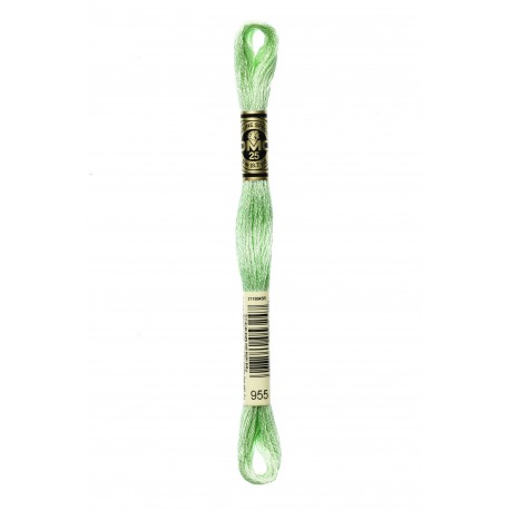 Mouliné Spécial DMC Colore 955