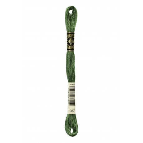 Mouliné Spécial DMC Colore 987