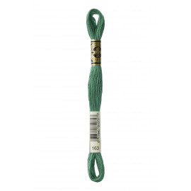 Mouliné Spécial DMC Colore 163