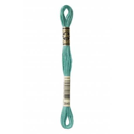 Mouliné Spécial DMC Colore 3849