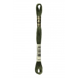 Mouliné Spécial DMC Colore 3051