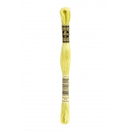 Mouliné Spécial DMC Colore 11