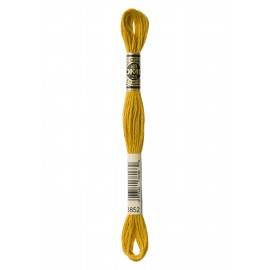 Mouliné Spécial DMC Colore 3852