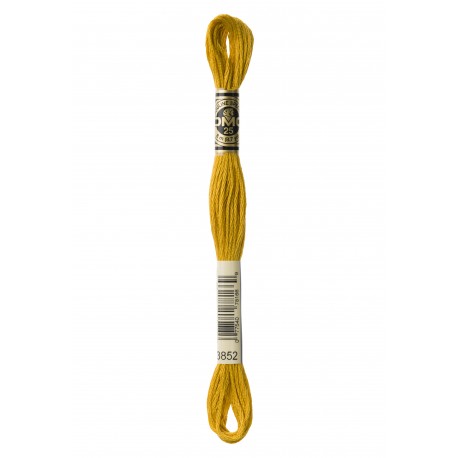 Mouliné Spécial DMC Colore 3852