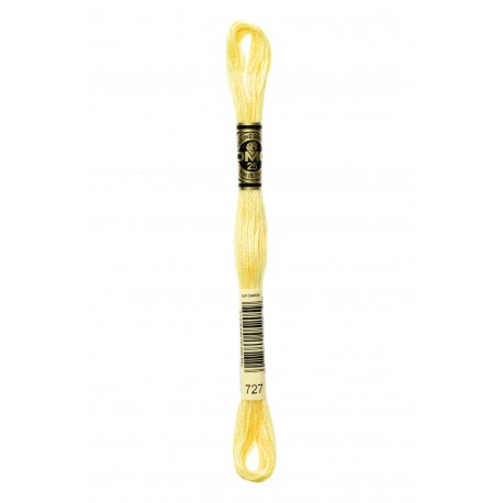 Mouliné Spécial DMC Colore 727