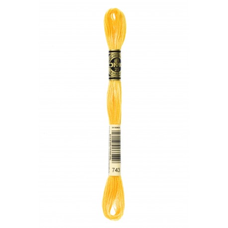 Mouliné Spécial DMC Colore 743
