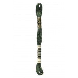 Mouliné Spécial DMC Colore 520