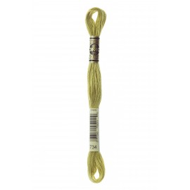 Mouliné Spécial DMC Colore 734