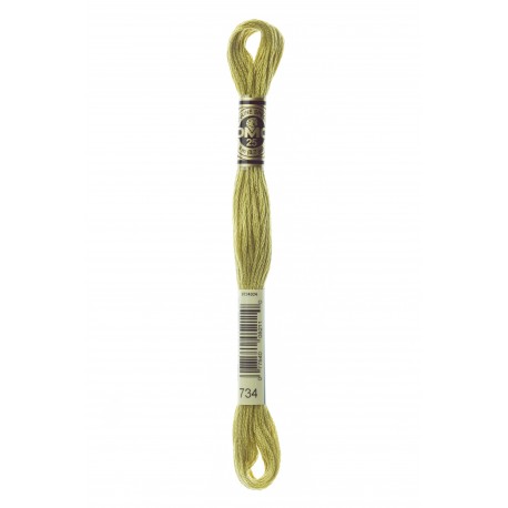 Mouliné Spécial DMC Colore 734