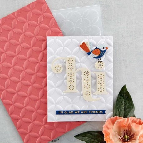 Circle Illusion 3D Embossing Folder - Spellbinders