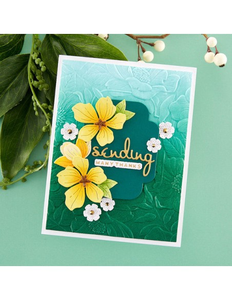 Four Petal Floral 3D Embossing Folder - Spellbinders