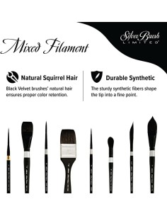 Travel Watercolor Brush - Black Velvet n. 2 serie 3100ST 2