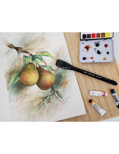 Square Wash Brush - Black Velvet n. 1/4 " 3008S