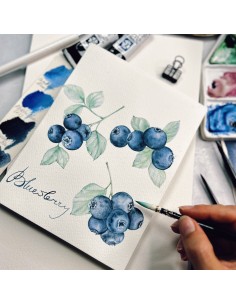 Magia in blu: mirtilli ad acquerello 14 Settembre 2