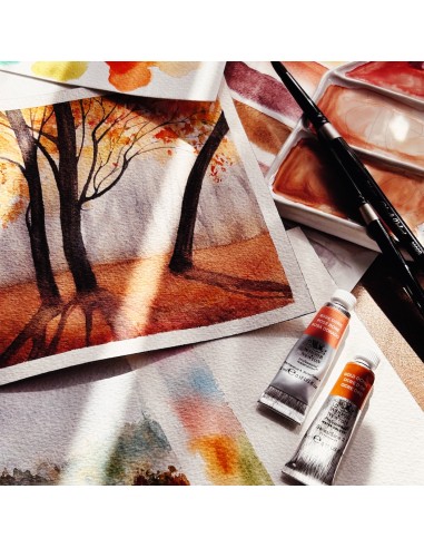 corso online "Acquerelli d’autunno: colori e...