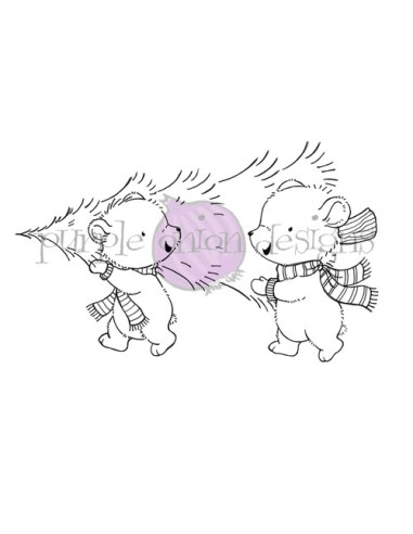 Fraser & Fir - Timbro di Stacey Yacula