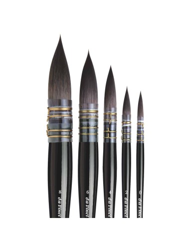 Da Vinci - Casaneo serie 498, pennello per...